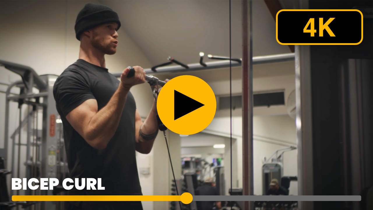 Bicep curl video preview