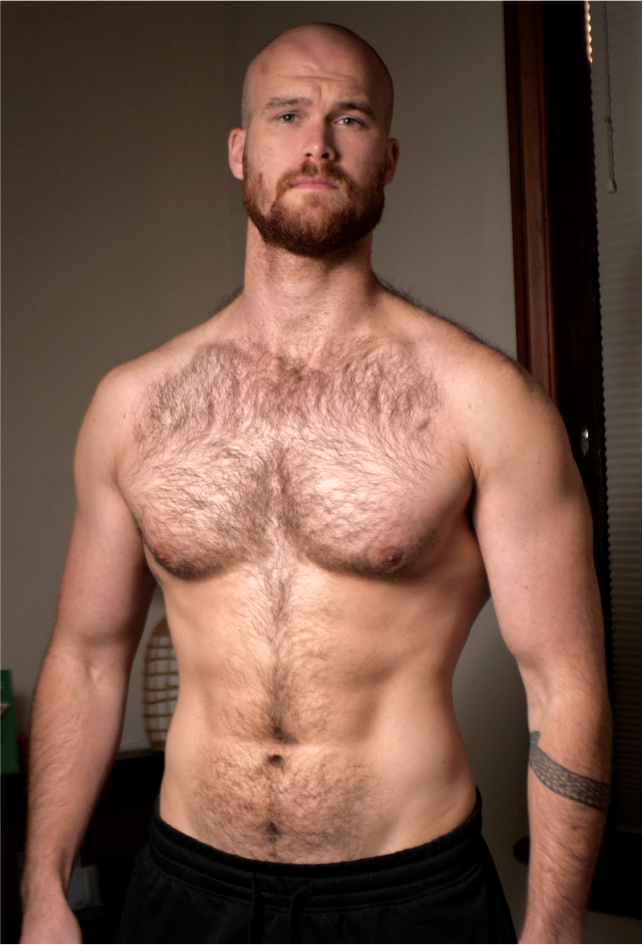 Louie at 12% body fat — now